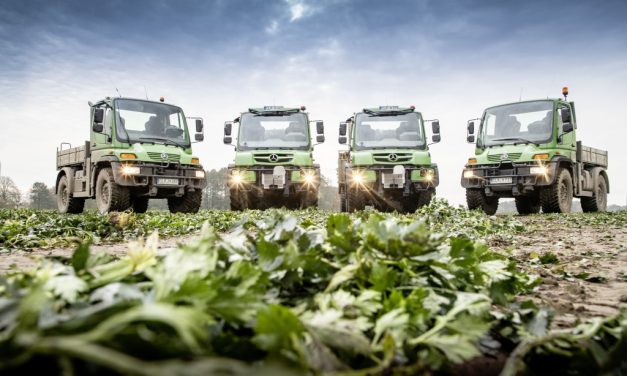 Labuta diária, doze Unimog para a logística de transporte de hortifruti