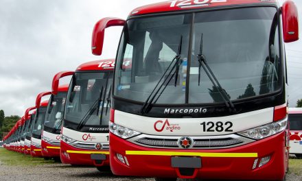 Mercedes-Benz exporta 328 ônibus para serviço de fretamento em mineração no Chile