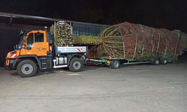 Unimog transporta árvore de Natal de Paderborn para Berlim