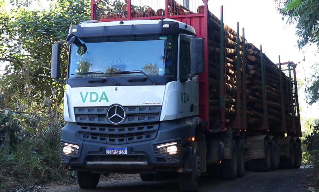 Mercedes-Benz Arocs é a escolha para operação madeireira, em Jacareí, no Vale do Paraíba